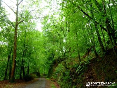 Valle del Baztán - Elizondo - Zugarramurdi; excursiones turismo; lugares para hacer senderismo; rut